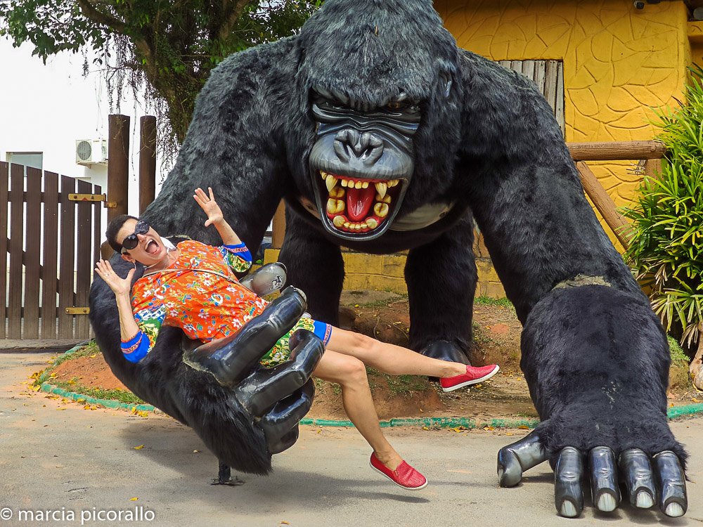 Parque Beto Carrero me surpreendeu. Veja as dicas e o porquê