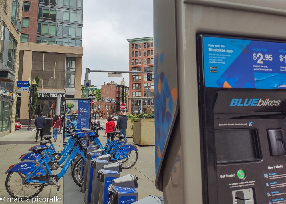 o que fazer em Boston de bicicleta