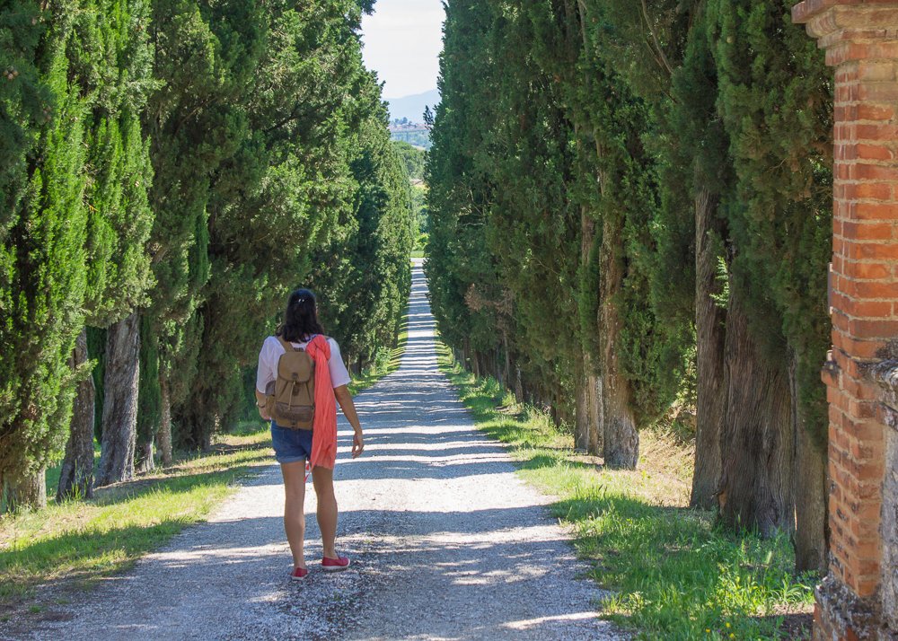 vale d'orcia ciprestes