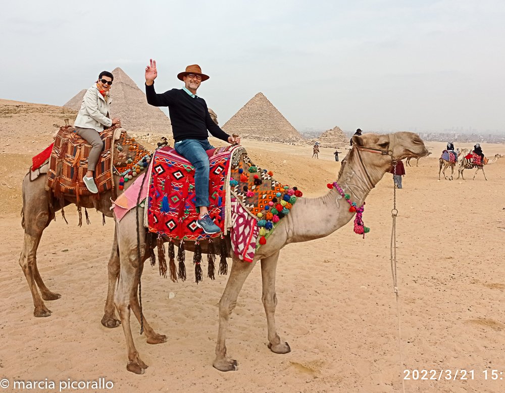 coisas para fazer no Egito  camelo