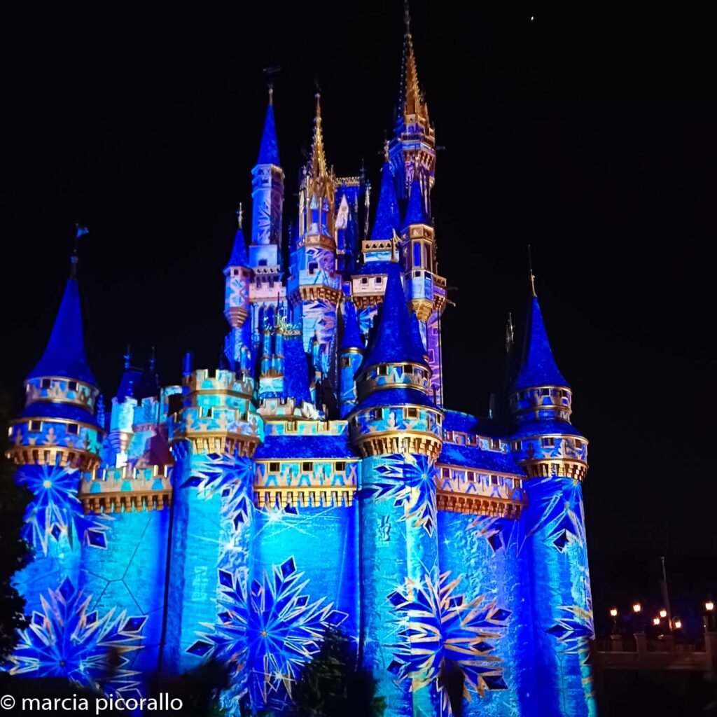 Disney em dezembro castelo cinderela