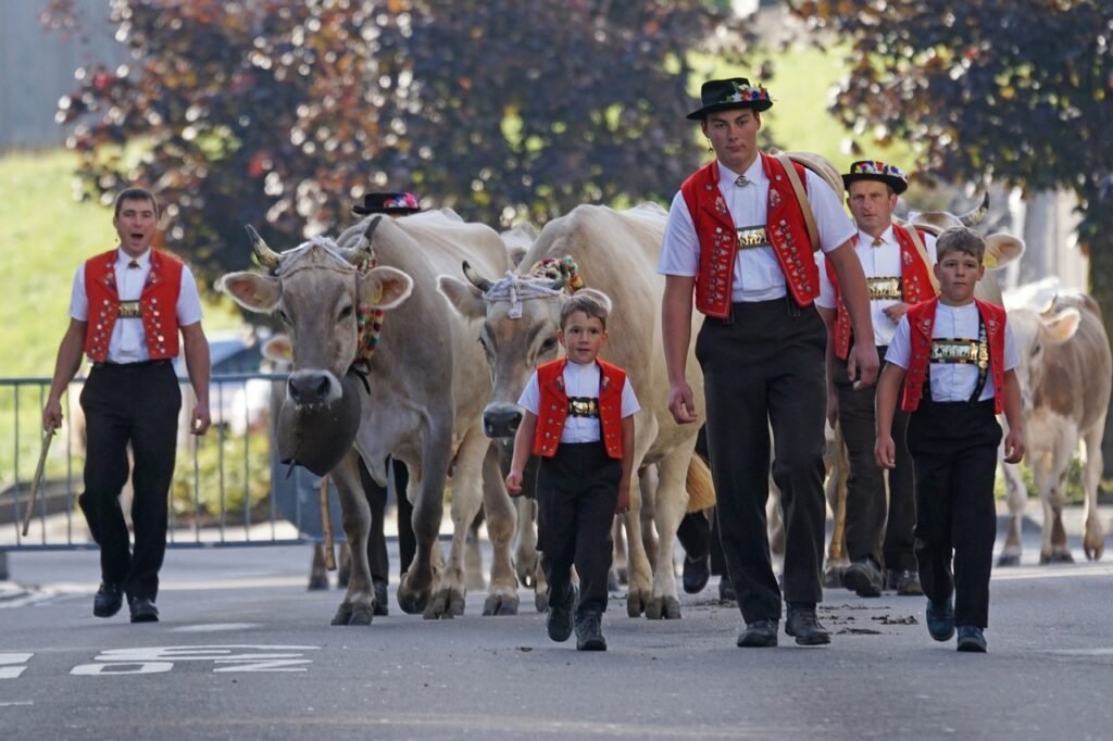 Appenzell desfile vacas