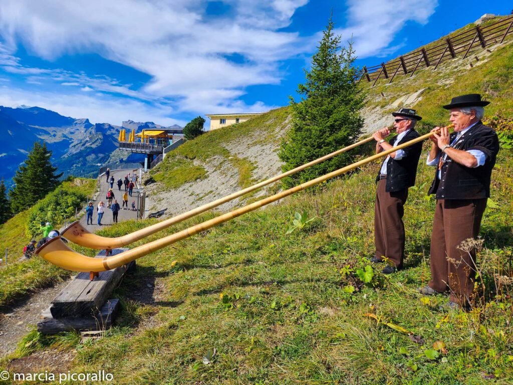 Schynige Platte trompa alpina