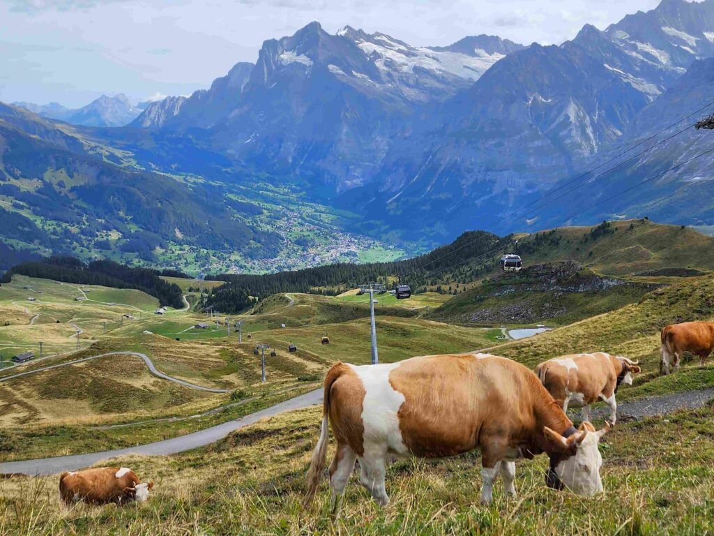 Männlichen a Kleine Scheidegg