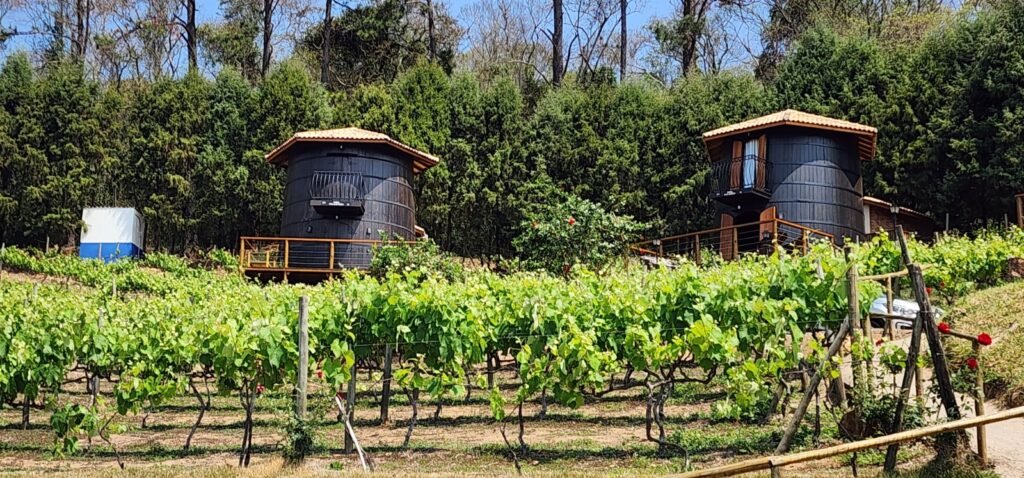 Rota do Vinho de São Roque  onde ficar