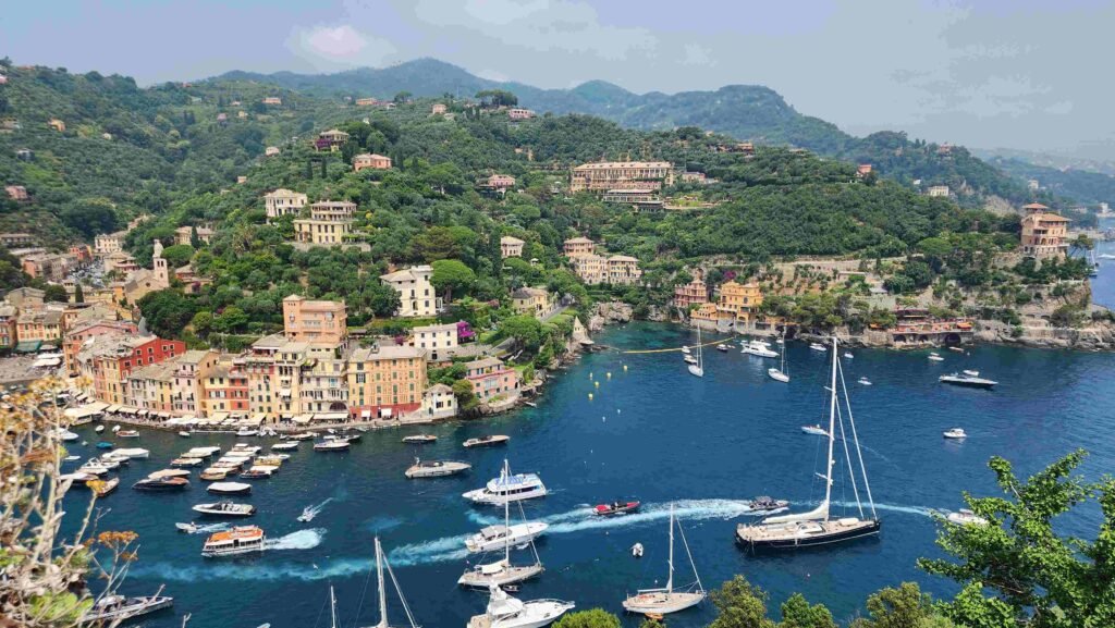 castelo Brown Portofino