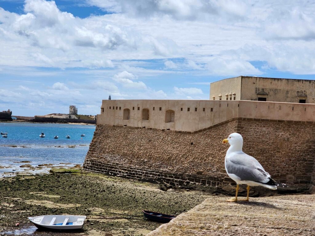 Cádiz vale a pena